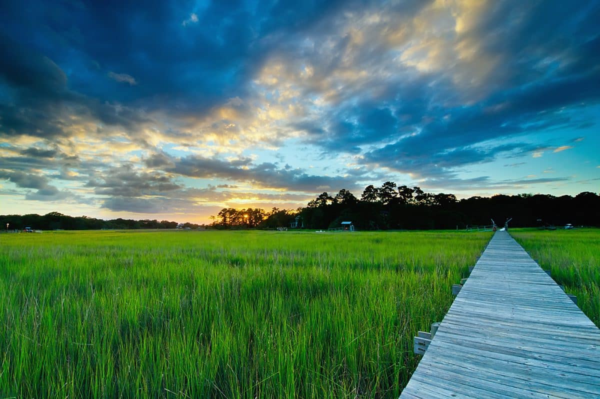 SC Humanities Identity & Website