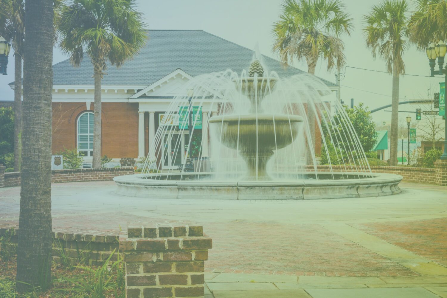 City of Swainsboro Georgia Website