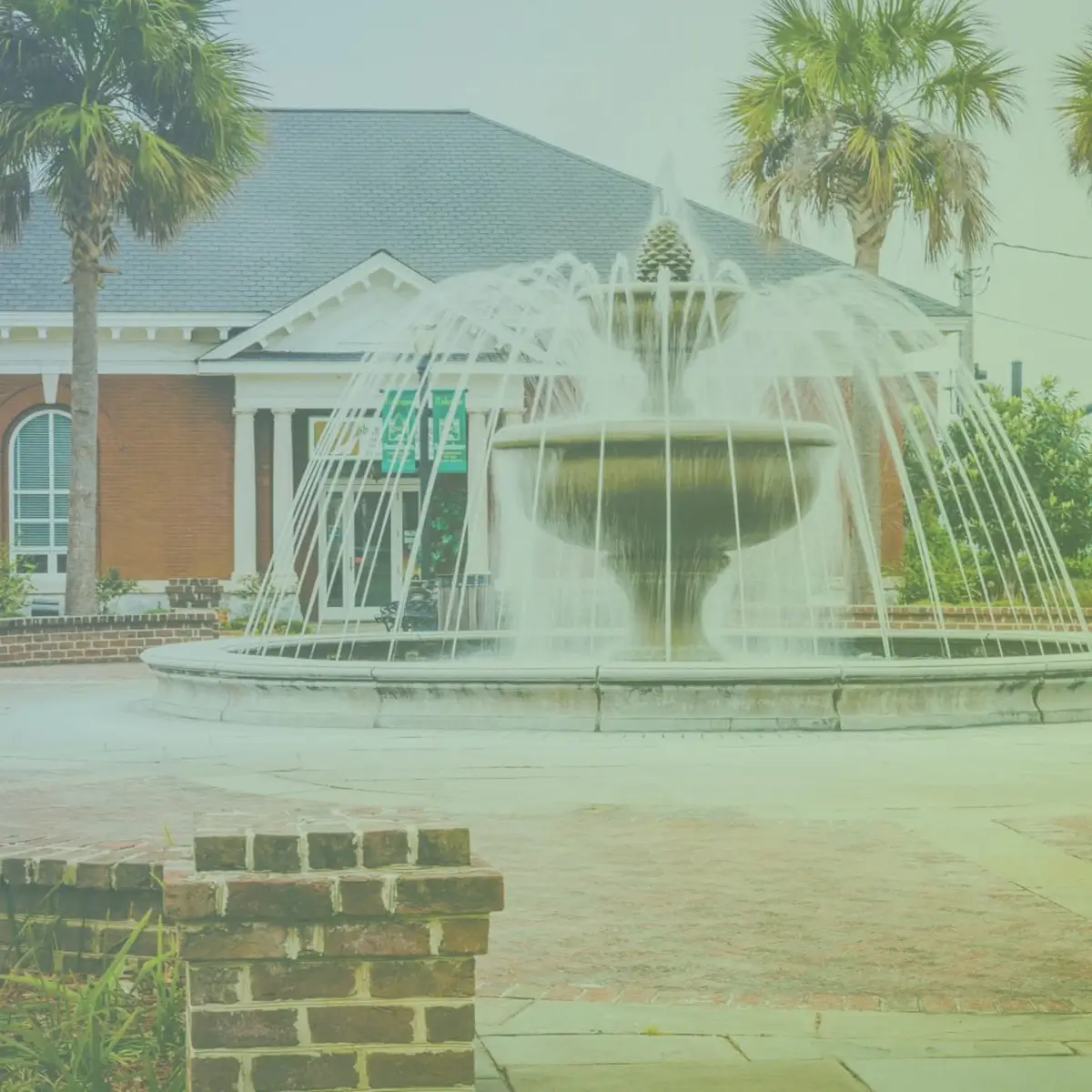 City of Swainsboro Georgia Website